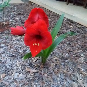 Meet your Posher, Cathy